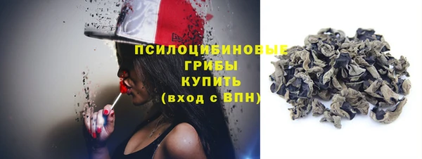 дмт Осташков