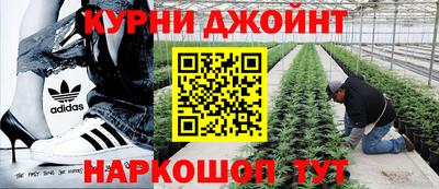 прущие грибы Жуковский