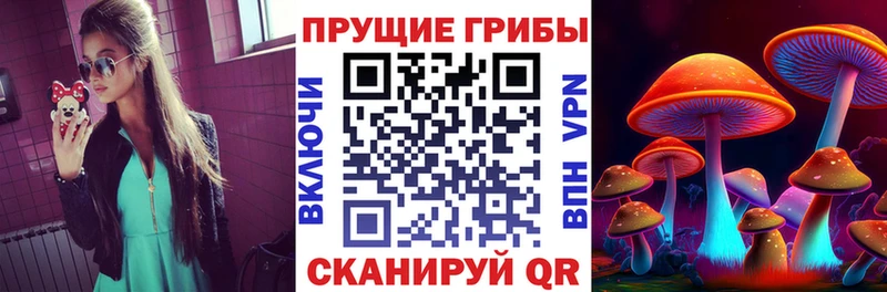 Псилоцибиновые грибы Psilocybine cubensis  гидра ССЫЛКА  Шали 