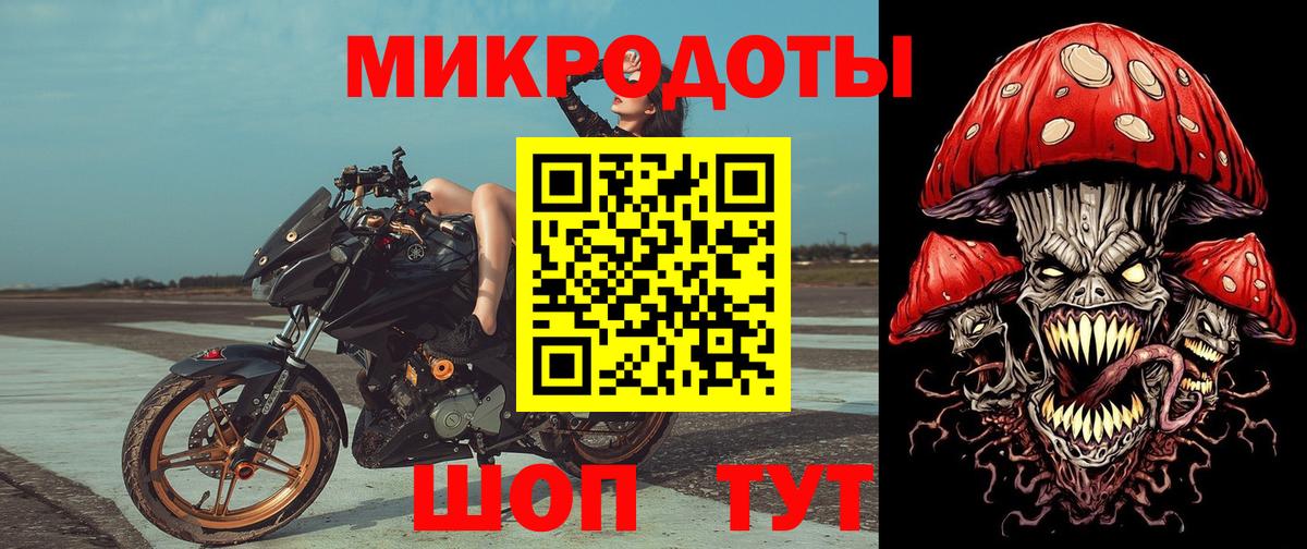 Шали  Галлюциногенные грибы Psilocybe  Вход с VPN 